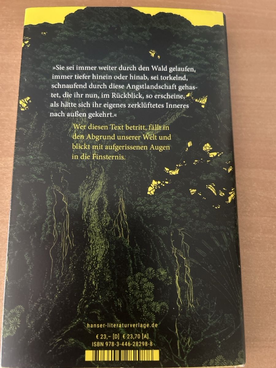 Bücher: Die Holländerinnen – Neu (gemäss Beschreibung) aus Sachseln von Mbueffel 1