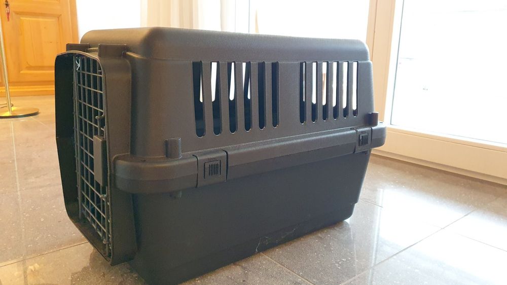 dog-carrier-box-kaufen-auf-ricardo