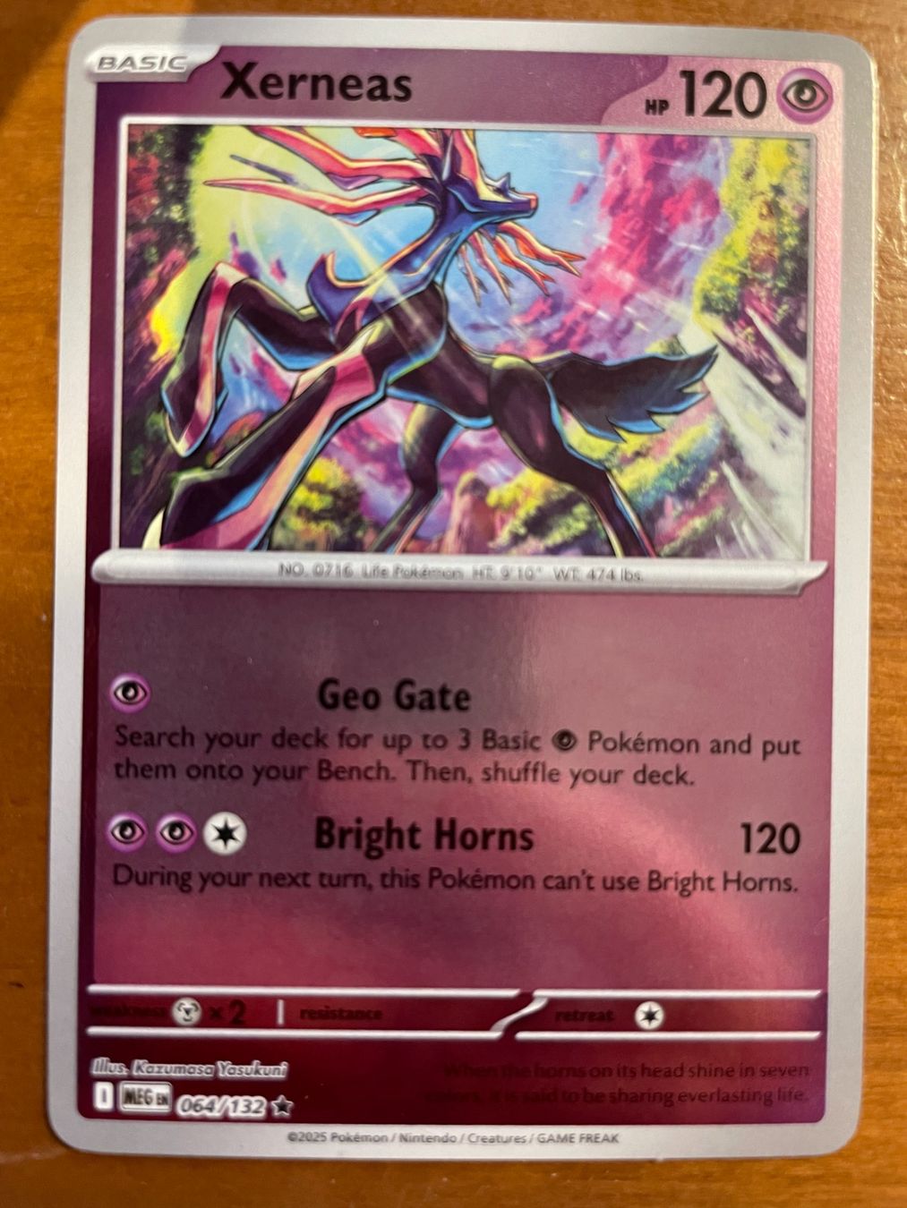 Pokémon Carte collezionabili: Pokemon Xerneas Reverse (Versand gratis) – Nuovo (secondo la descrizione) da Chur venduto da Angerson