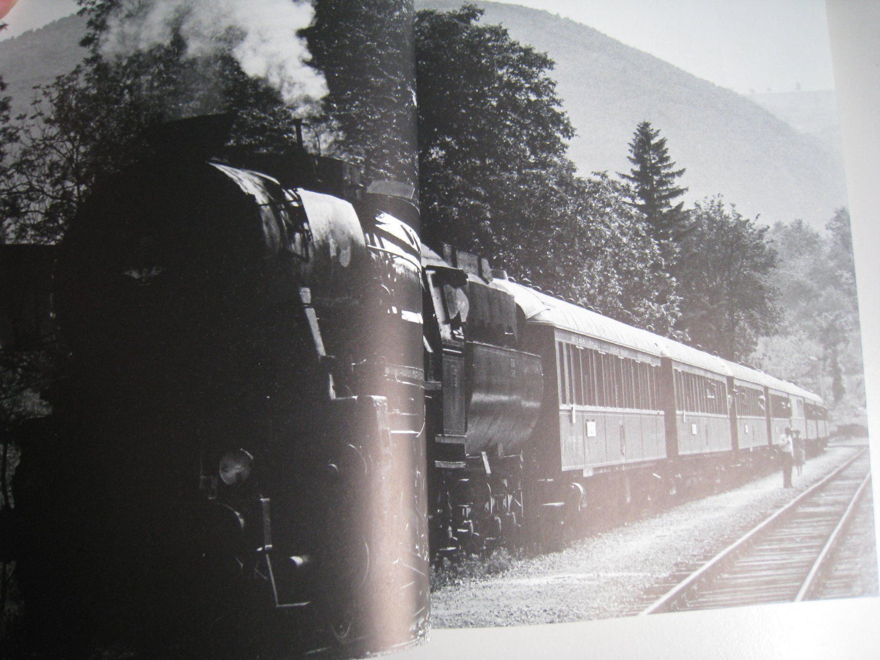 Livres: In grossen Zügen Reisen – Neuf avec emballage d'origine à Buchs ZH par swiss-train 3
