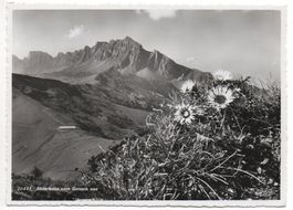 SARGANS Alvierkette vom Gonzen aus