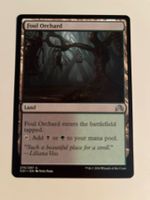 1 x Foul Orchard - Magic: The Gathering - MtG