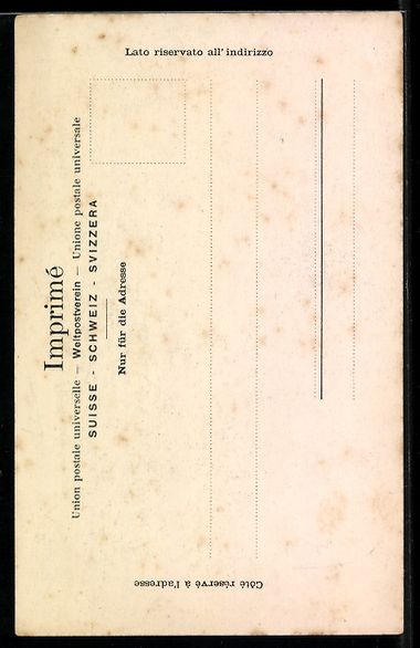 Cartoline postali: AK Champéry, Vue sur la Dent du Midi – Usato da Berlin venduto da bartko-reher 1