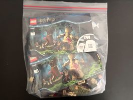 LEGO Harry Potter 75967 - La Forêt Interdite : la rencontre