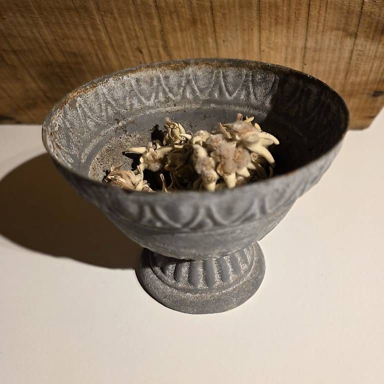 Alle Dekorationen: Shabby Chic Deko Vase Schale Kerze – Gebraucht aus Reichenbach i. K. von likki07