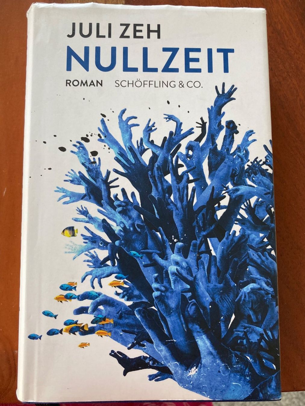 Libri: NULLZEIT/Juli Zeh/Verlag Schöffling&Co. – Usato da Eschenbach SG venduto da verbascum