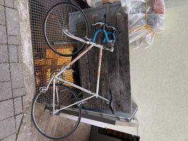 Peugeot Rennvelo Vintage, seltener Tacho