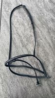 Hilbar Sperrhalfter schwarz weissen Glitzersteinen, Gr. Cob