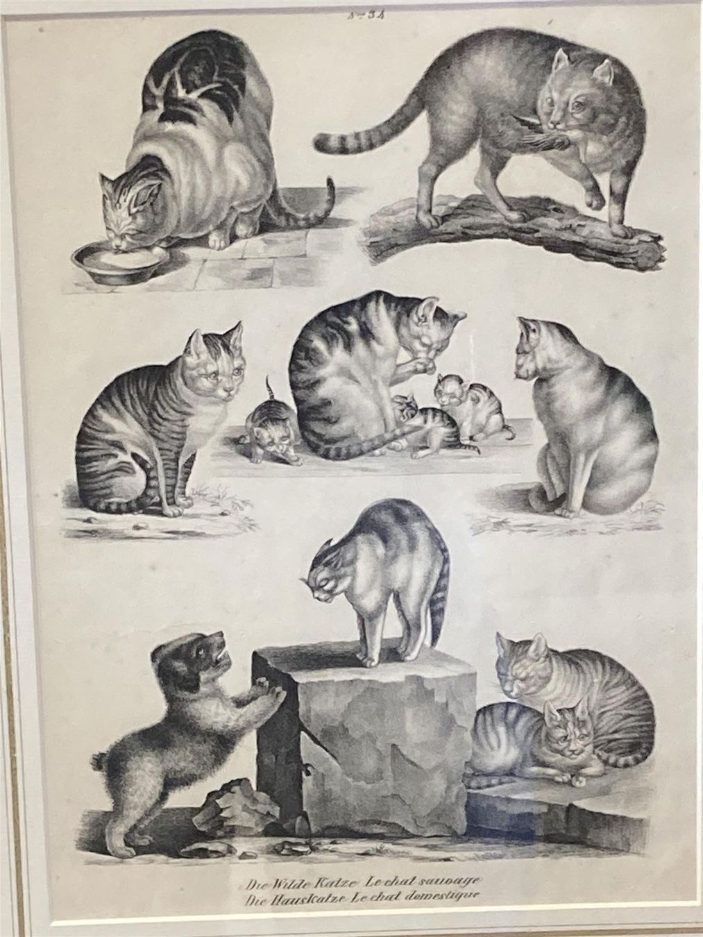 Grafica & Litografie: MIND Gottfried Katzen Litho um 1860 – Usato da Bern venduto da Jwpm66 1