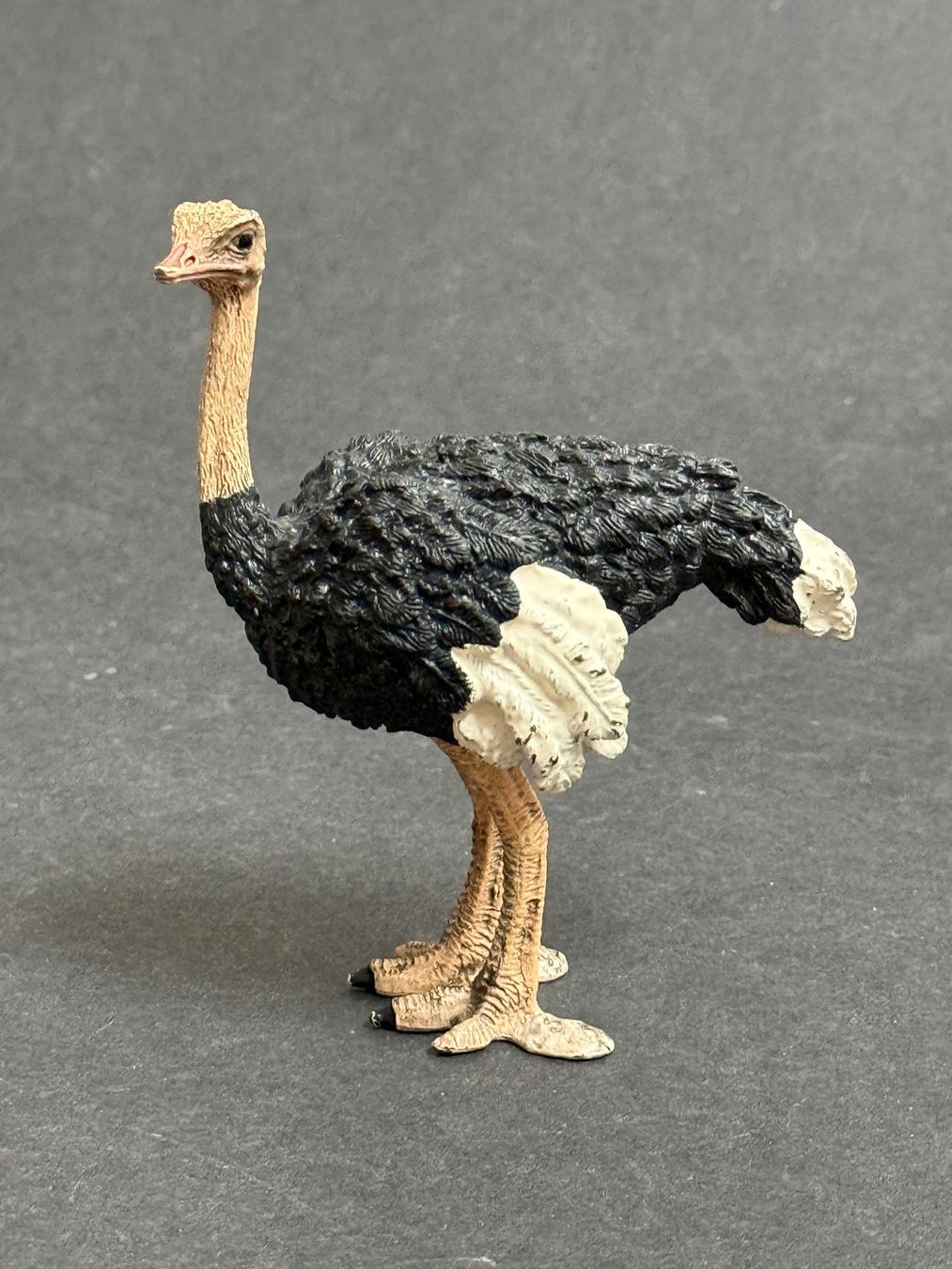 Schleich Statuette: Schleich Strauss Straussenmännchen – Usato da Ennetbaden venduto da mapa05 2