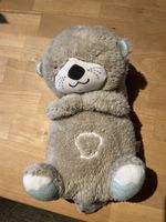 Schlummer Otter