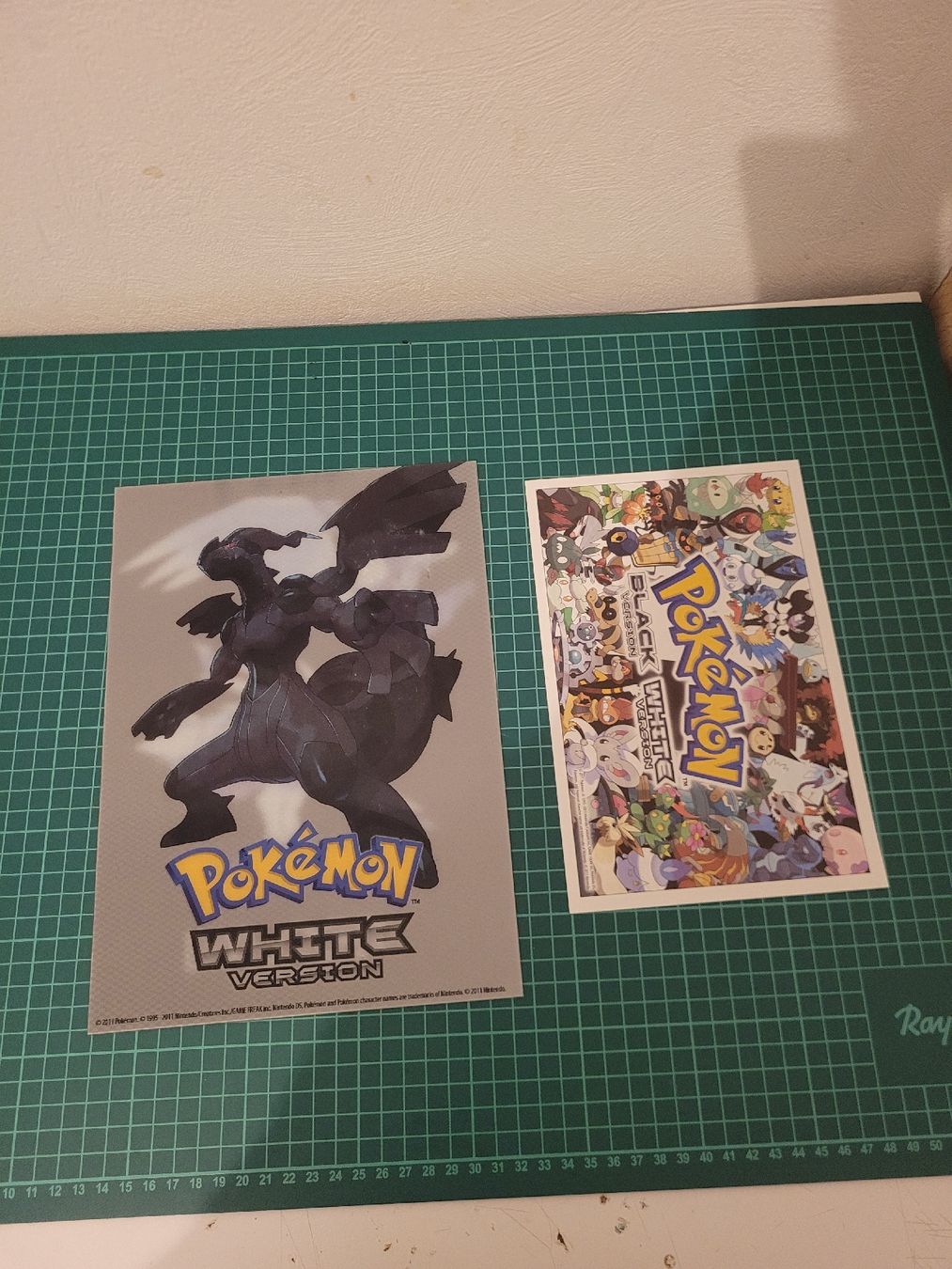 Libri: Pokemon Black and White guidebooks, map and inserts! – Usato da Meyrin venduto da Retro-GZ 2