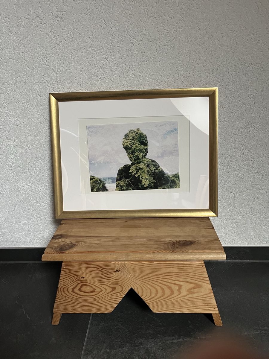 Ikea Cornici: Naturporträt im Rahmen – Usato da Bern venduto da wisemagpie