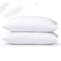 NEU Bonny Home 50x70 cm Silikon Kissen 1.000 g - 2 Stück