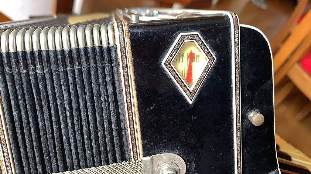 Instruments de musique: Fisarmonica – D'occasion à Airolo par Truzz 3