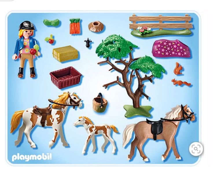 Playmobil Giocattoli: Playmobil Pferdekoppel – Usato da Nottwil venduto da Antago 2