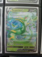 Serperior V - Pokemon Englisch