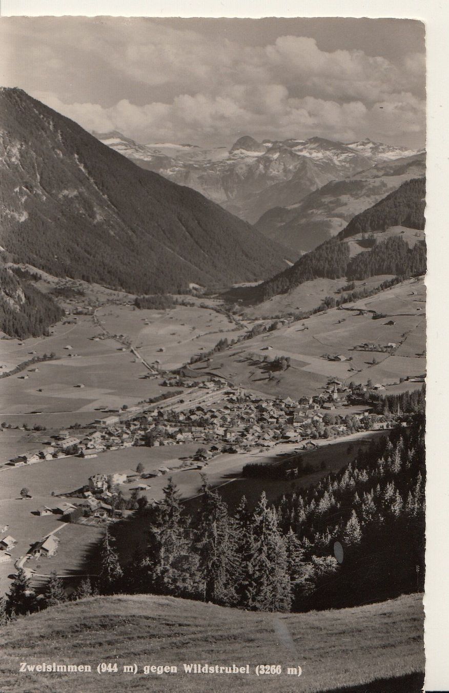 Cartoline postali: Zweisimmen – Usato da Flaach venduto da Monisoldshop