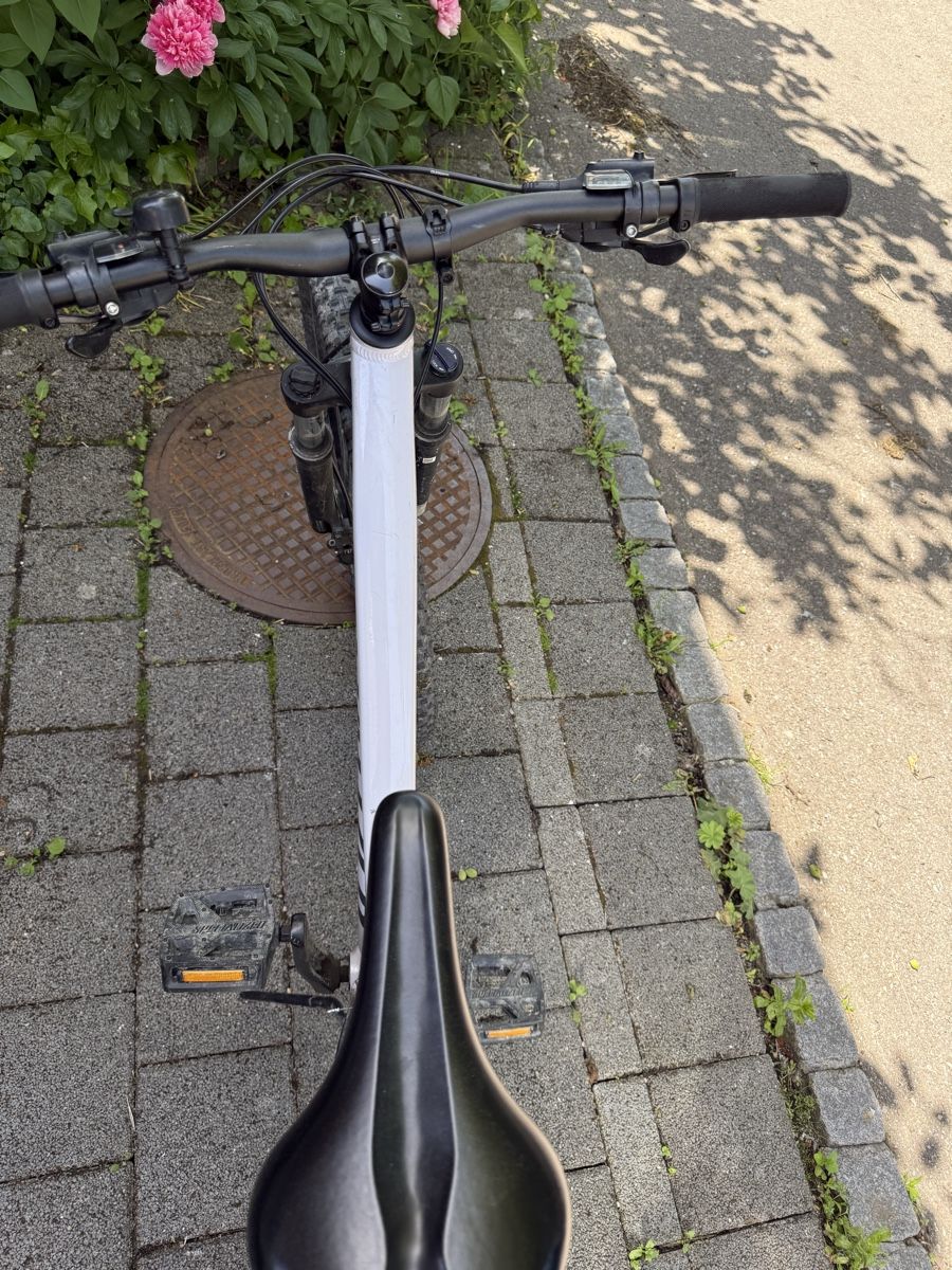 Specialized Biciclette: Mountainbike  – Usato da Kaufdorf venduto da nadine_bufe 1
