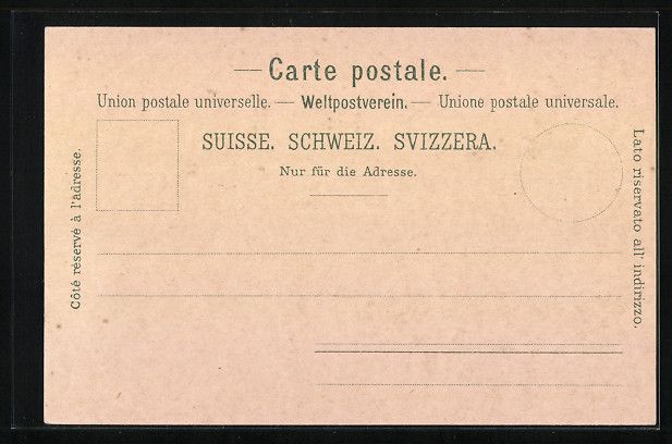 Ansichtskarten: Litho Schaffhausen, Teilansicht mit Br – Gebraucht aus Berlin von bartko-reher 1
