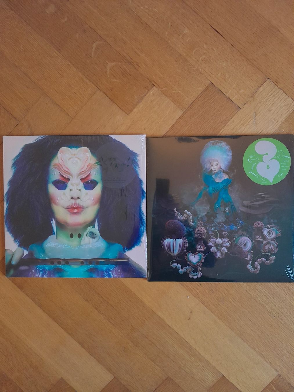 Vinyles: 5x LP Set - Björk – D'occasion à Lausanne par jyle1018 1