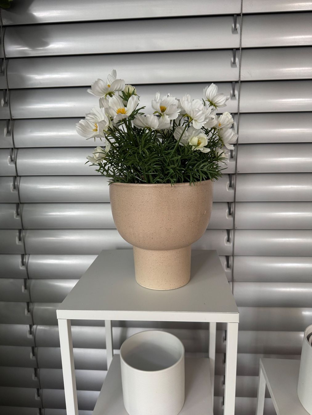 Vase & Récipients: Vase Keramik beige neu – D'occasion à zürich par Bailey17 1