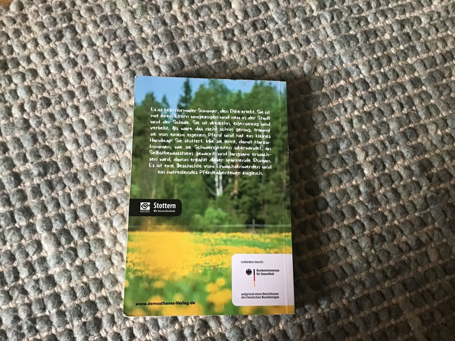Libri: Rike oder ein nicht ganz gewöhnlicher Sommer – Usato da Langrickenbach venduto da orangecircledance 1