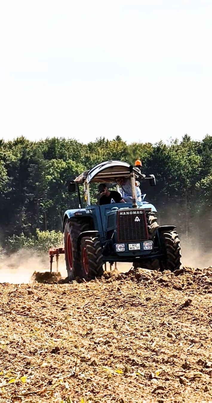 Hanomag Tracteurs: Hanomag Brilliant 601A  – D'occasion à Grub AR par kuh_8tc9