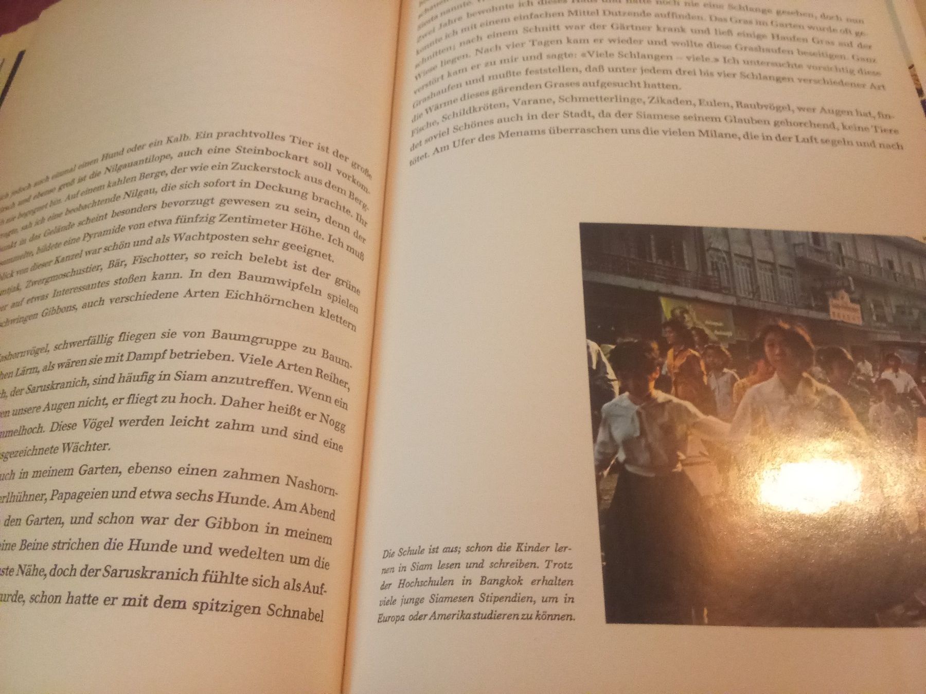 Livres: Siam Silva Verlag – D'occasion à Remetschwil par Privatflohmi 4