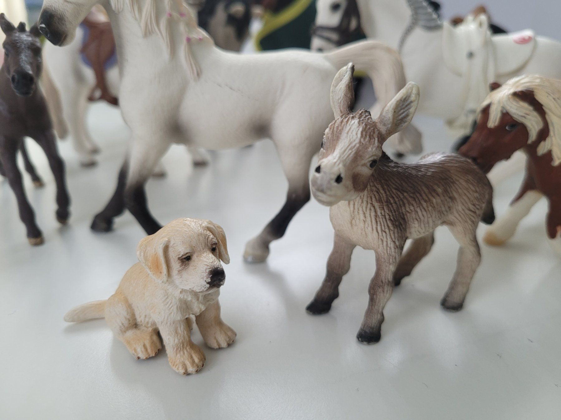 Schleich Statuette: Schleichtiere 10 Stück – Usato da ennenda venduto da popcorn007 2