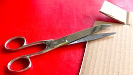 Schere von Solingen, G•N, 17 cm, fairer Versand
