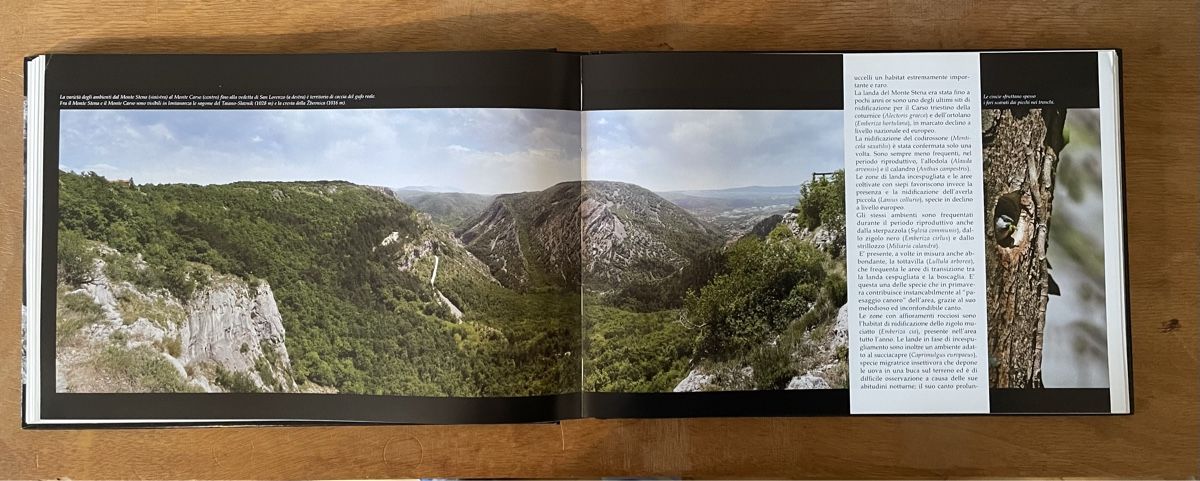Libri: La Val Rosandra e l'ambiente circostante – Usato da Zürich venduto da WWehrle 2