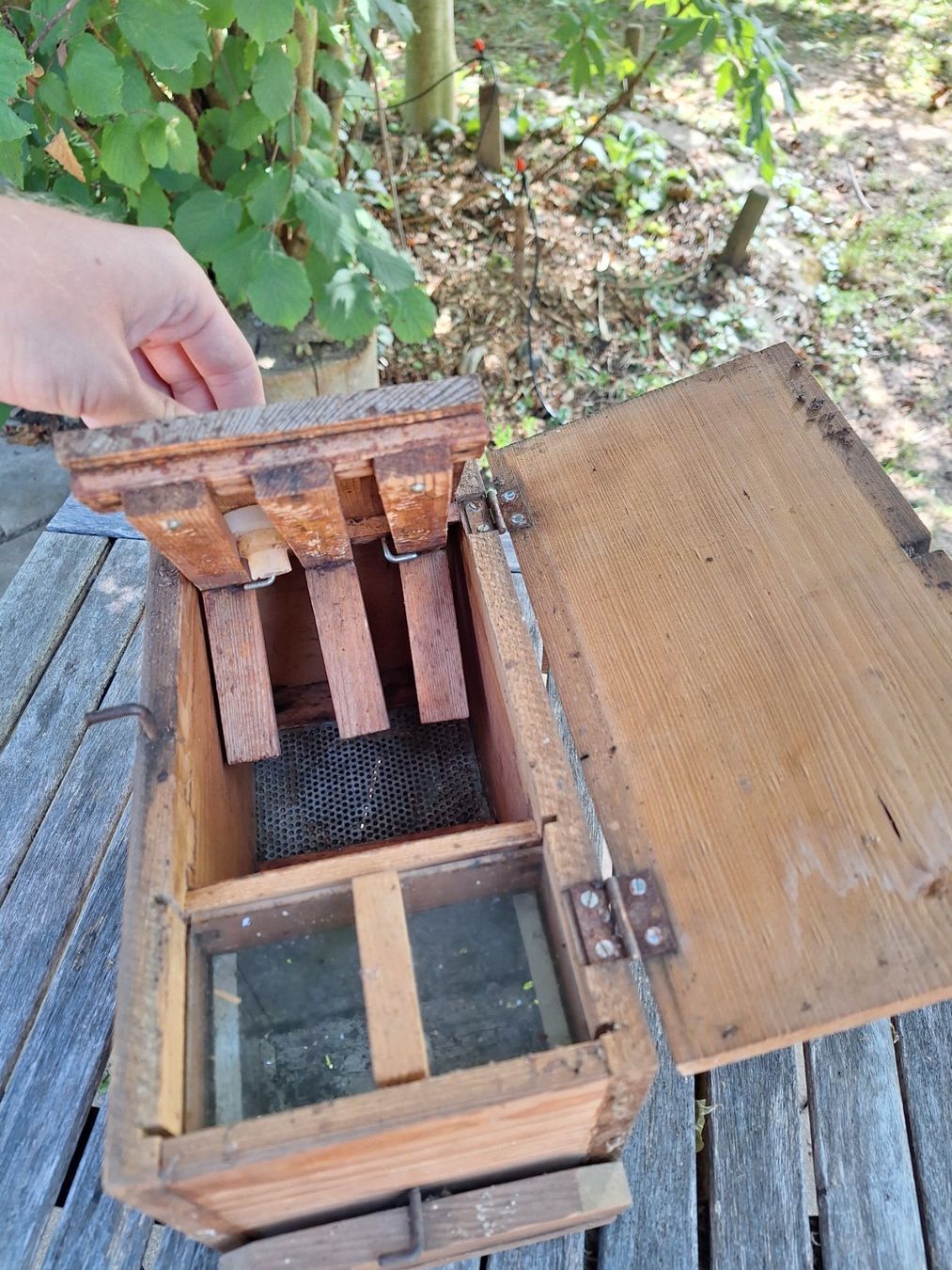 Alveari: Holz Begattungskästchen – Usato da Ipsach venduto da nik_6hkj 3