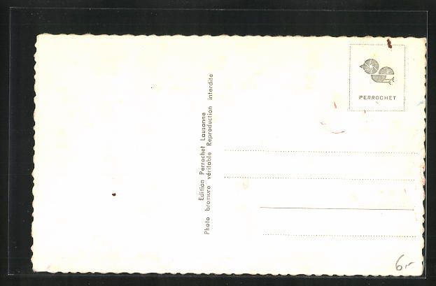 Cartoline postali: AK Lignières, Panorama mit Waldstück – Usato da Berlin venduto da bartko-reher 1
