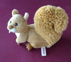 verletztes Eichhörnchen von Althans