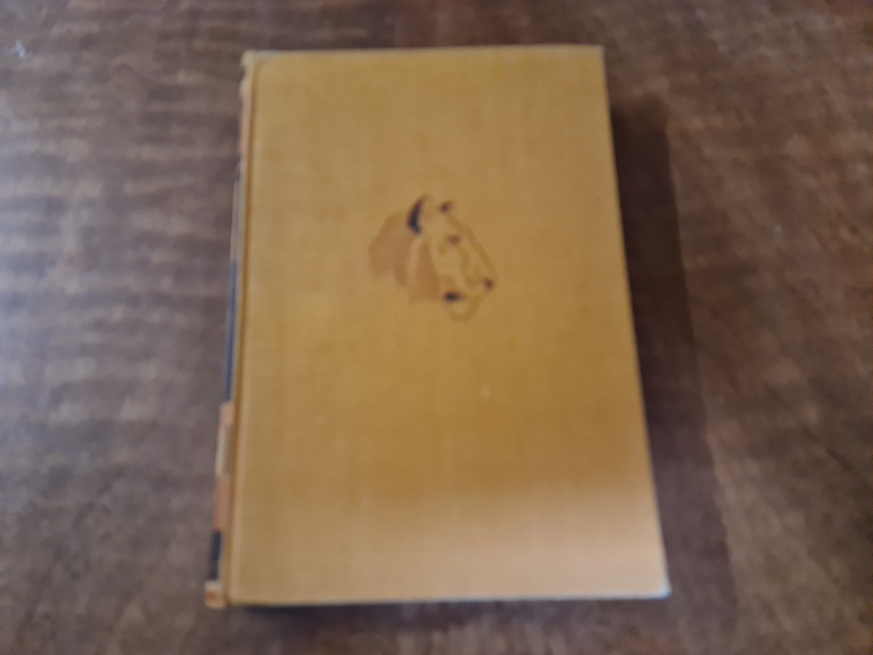 Libri: SIMBA – Usato da Erstfeld venduto da Mario_boe0 1