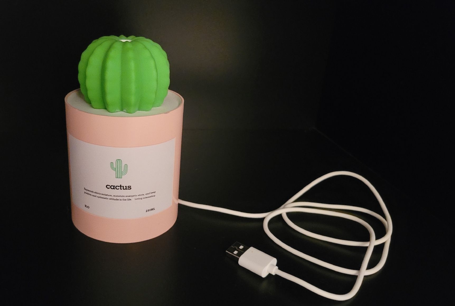 Umidificatori d'aria: Cactus Luftbefeuchter, Diffuser, neuwertig! – Usato da Linthal venduto da Mhexli