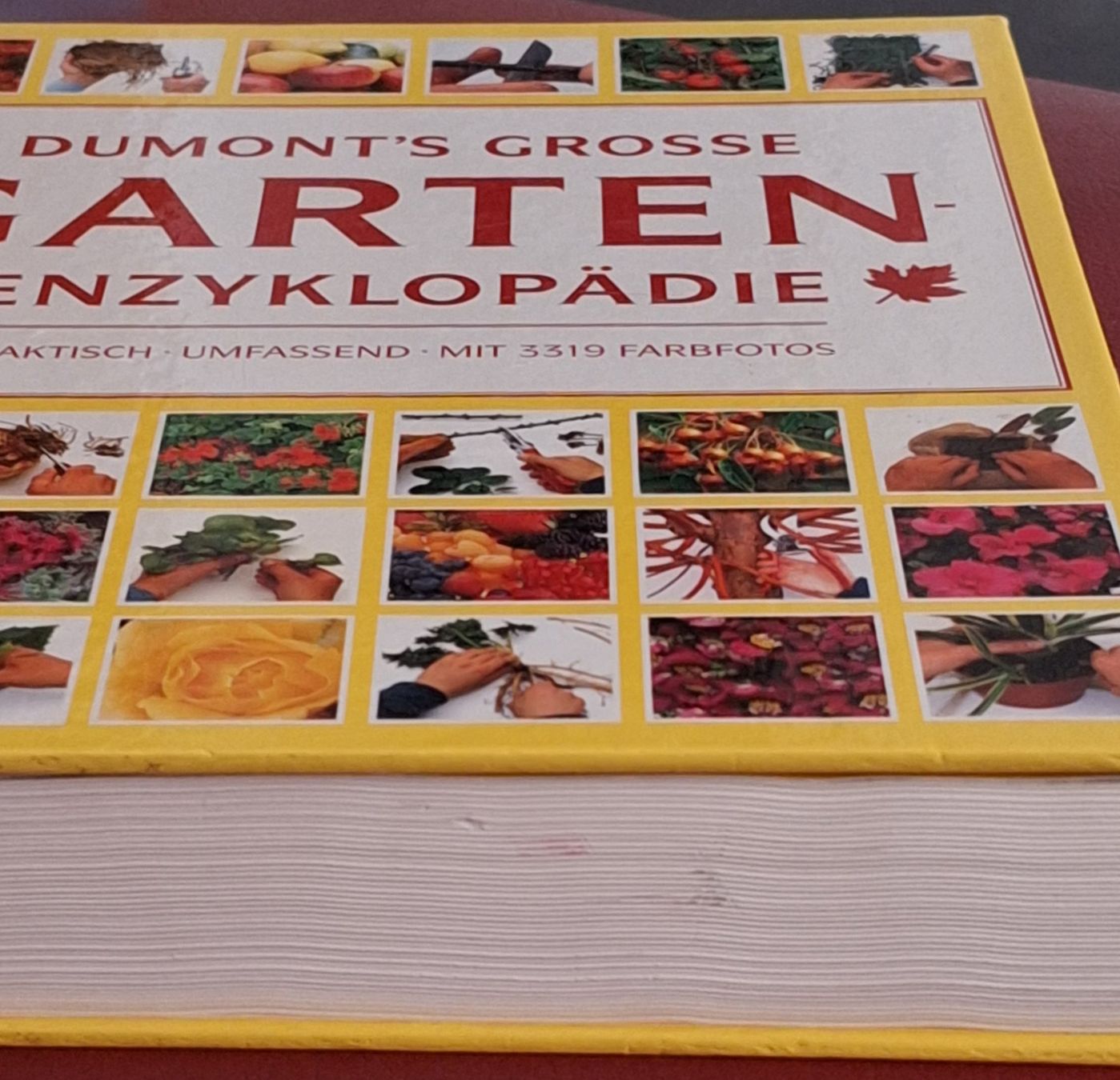 Libri: Buch Garten Enzyklopädie Dumont1994 – Usato da Oberriet SG venduto da Atir47 9