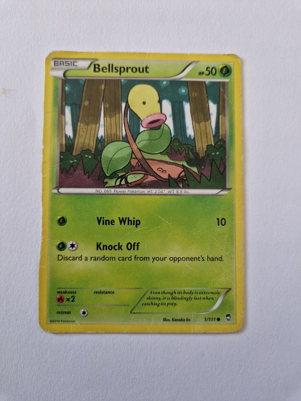Pokémon Carte collezionabili: Bellsprout - Furious Fists - EN – Usato da Romont FR venduto da raj_sjv9