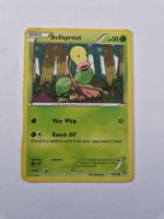 Bellsprout - Furious Fists - EN