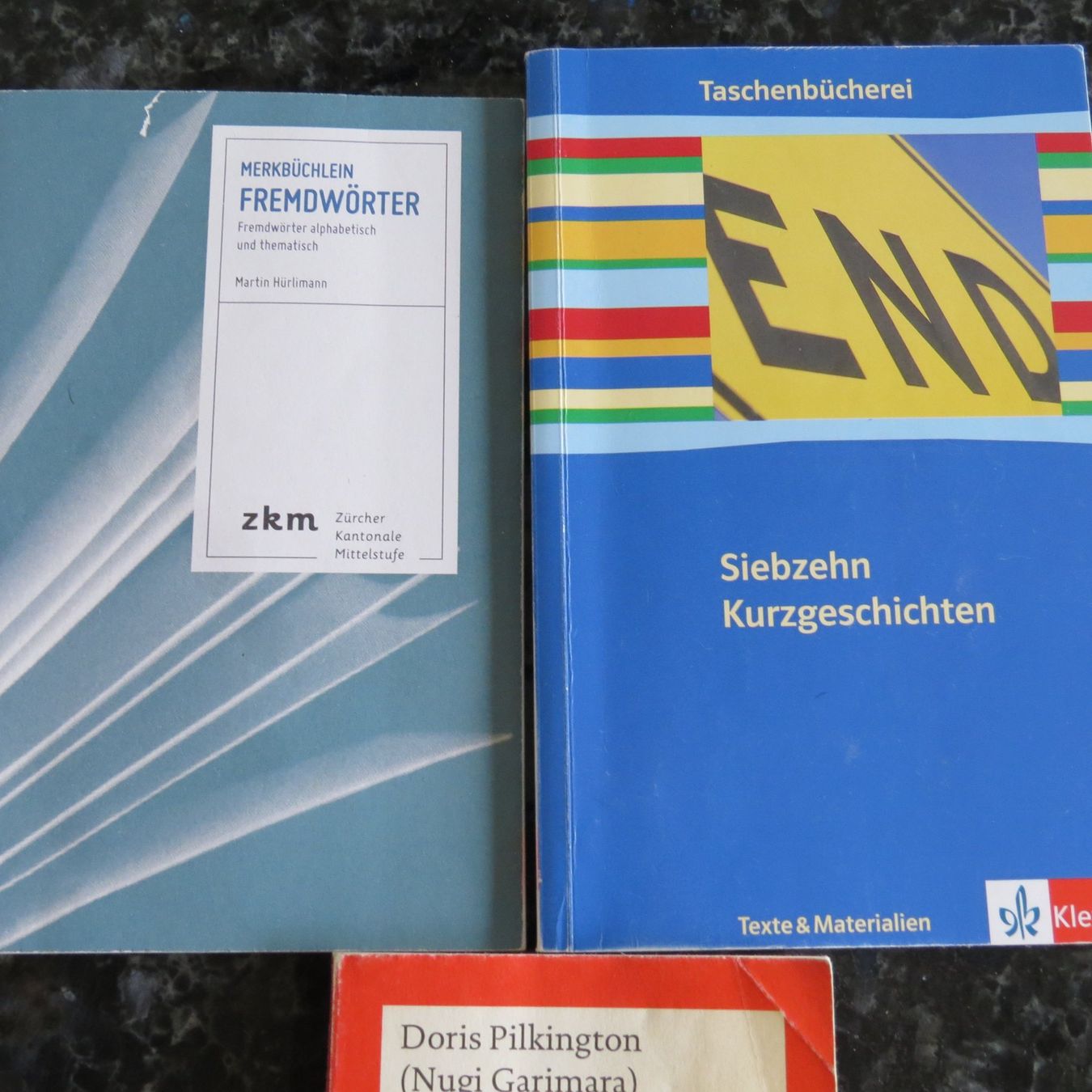 Libri: Deutsch  und Englisch Liteartur – Usato da Einsiedeln venduto da rotgypsy1969 1