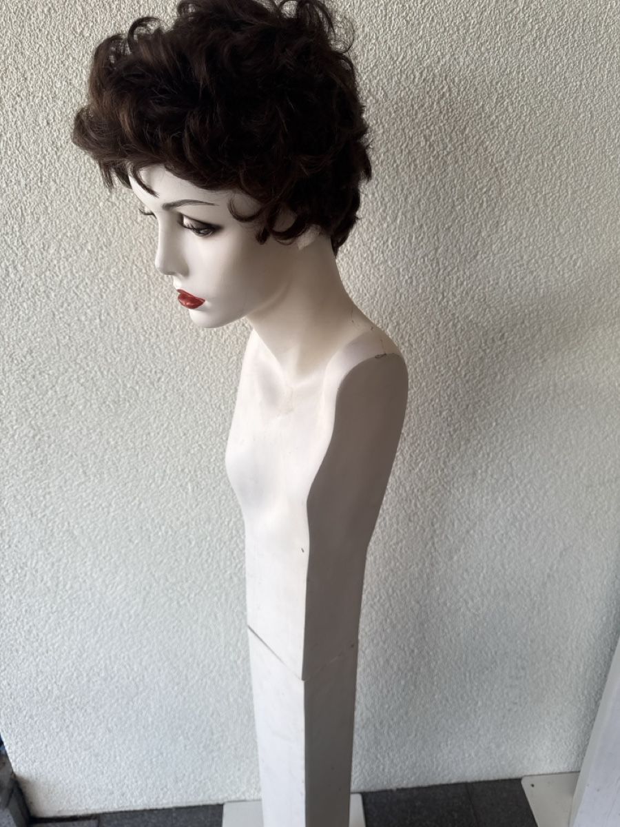 Altro in Decorazioni & Accessori: Schaufenster Puppe – Usato da Horriwil venduto da Carrera68 3