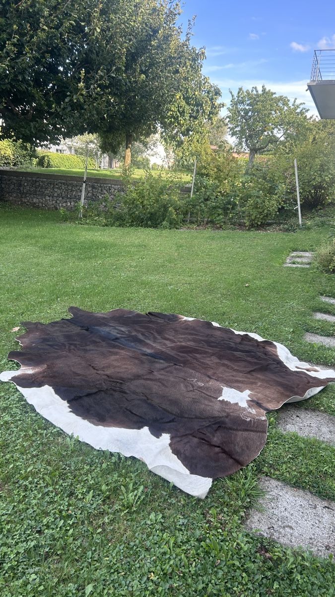 Teppiche: Kuhfell Teppich  – Gebraucht aus Zürich von Runakaja 2