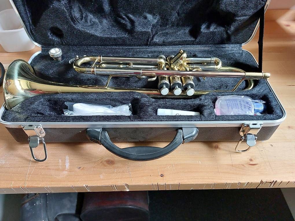Strumenti musicali: Zum Verkauf – Usato da Oberburg venduto da FletscherV8