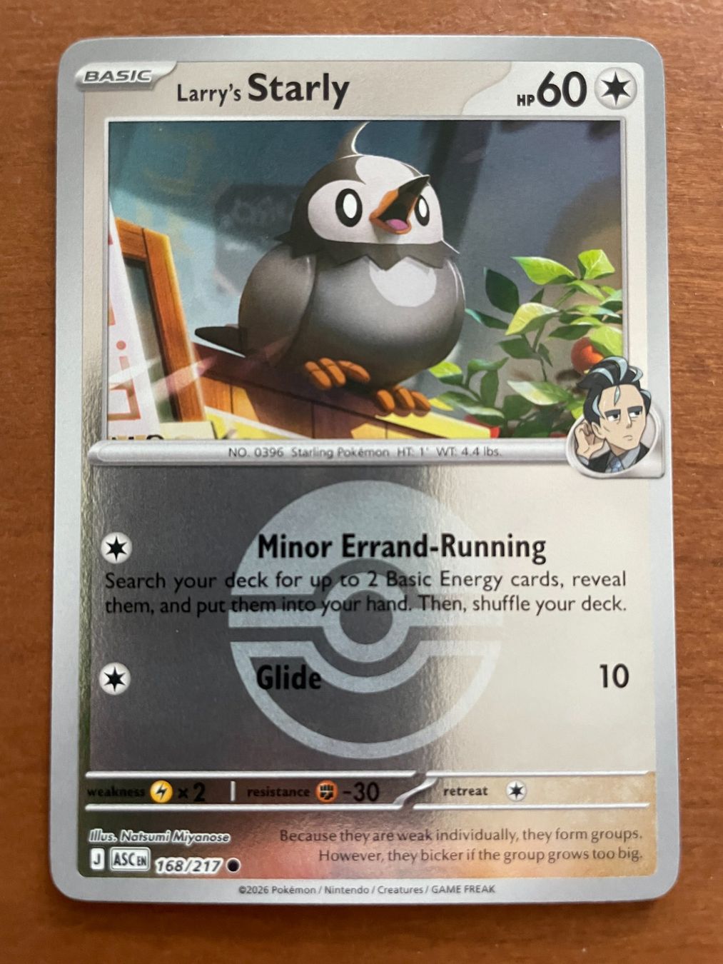 Pokémon Carte collezionabili: Pokemon Larry's Starly Reverse (Versand gratis) – Nuovo (secondo la descrizione) da Chur venduto da Angerson