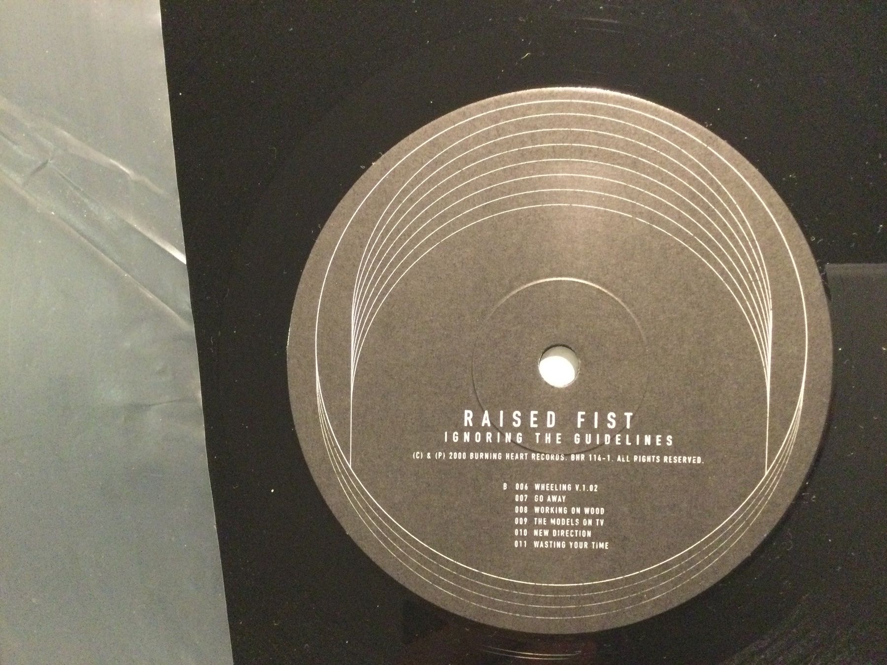 Dischi in vinile: Raised Fist LP - Ignoring The Guidelines – Usato da Gutenswil venduto da Hamzian 1