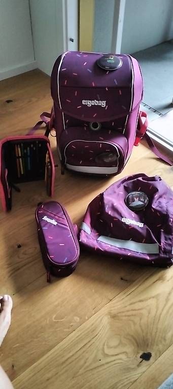 Ergobag Borse & Zaini: Ergoback Schulthek (1.-3. Klasse) – Usato da Zürich venduto da fab_p8y6 2