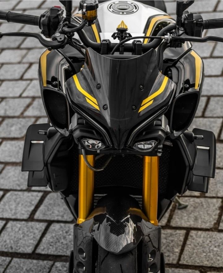 Yamaha Accessori per altri veicoli: Seitenwinglets Yamaha MT10 – Nuovo (secondo la descrizione) da Chur venduto da Arrownox