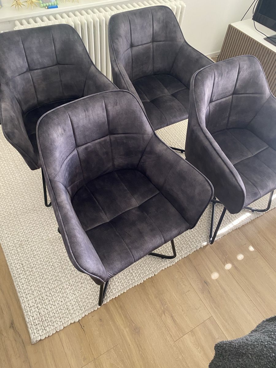 Chaises: 4 Stühle Samt Optik Grau NEU – Neuf (Voir description) à Luzern par pie_qfq9 1
