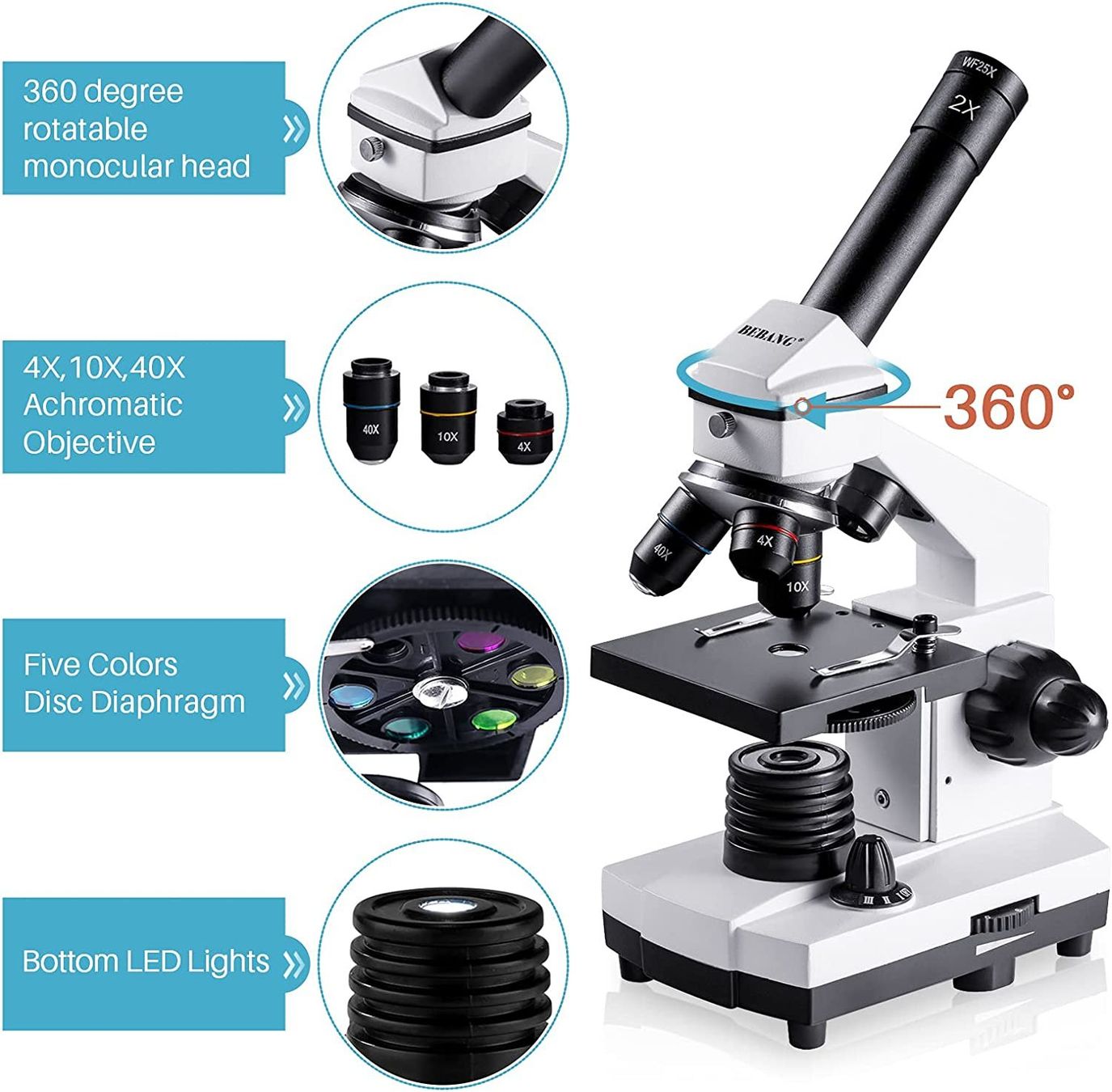 Microscopi: Mikroskop Optisch 100x-2000x mit Objektträger Set LED Licht – Nuovo e nell'imballaggio originale da Basel venduto da EchoPeak 3